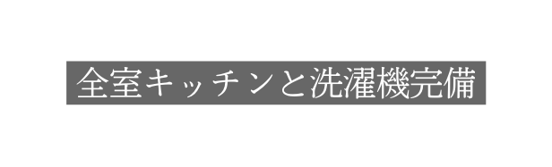 全室キッチンと洗濯機完備
